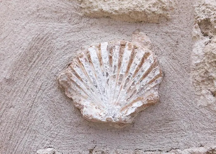 Lamanna Summer House Konukevi Polignano a Mare