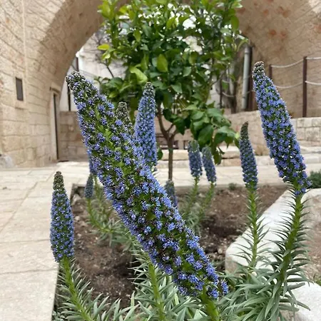 Lamanna Summer House Polignano a Mare